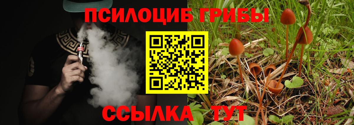 Галлюциногенные грибы мухоморы Жигулёвск